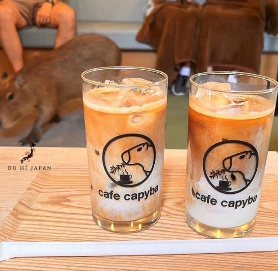 日本にはカピバラカフェがある
