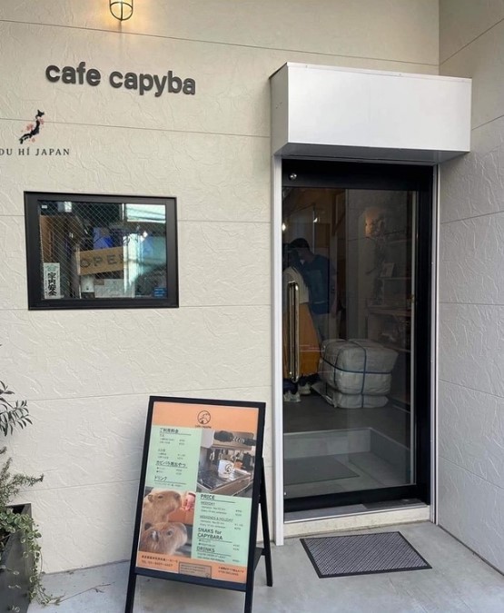 日本にはカピバラカフェがある